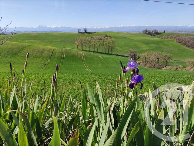 maison à vendre - 6 pièces - 145.0 m2 - BELPECH - 11 - LANGUEDOC-ROUSSILLON - Century 21 S.D.I.